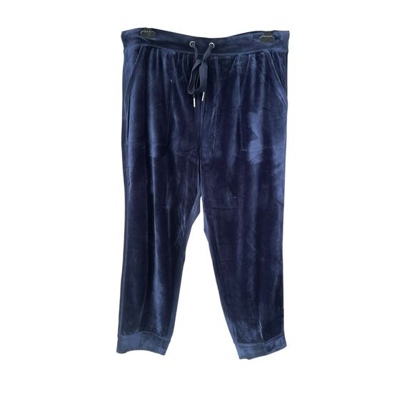 Saturday Sunday Anthropologie Womens Pants Large Blue velvet Jogger pull on - Picture 1 of 4